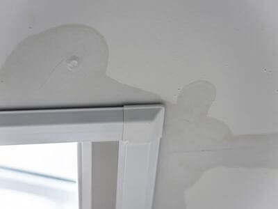 About Kingstowne Black Mold Removal - black mold removal experts in Kingstowne
